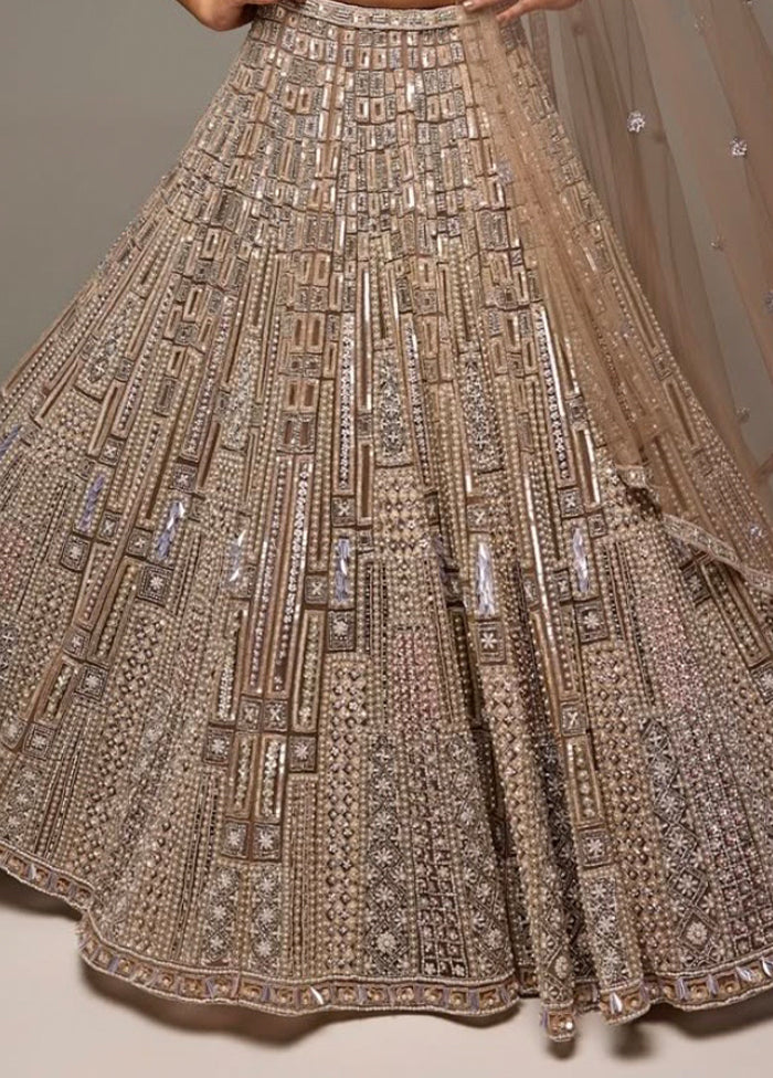 Golden Net Dupatta Lehenga Set