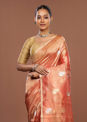 Pink Handloom Tissue Pure Silk Saree With Blouse Piece