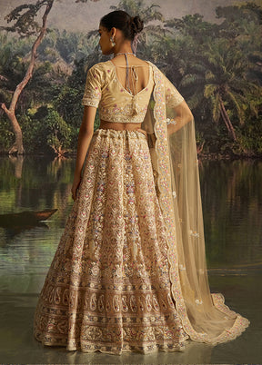 Cream Net Lehenga Set