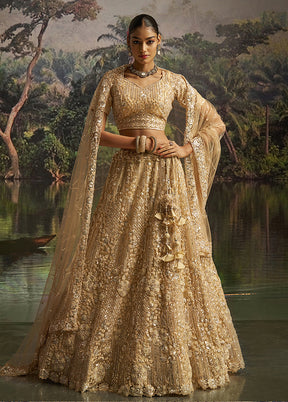 Cream Net Lehenga Set