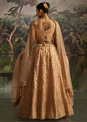 Peach Net Lehenga Set