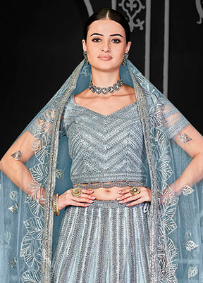 Blue Net Lehenga Set