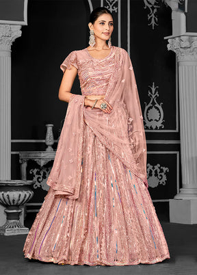 Peach Net Lehenga Set