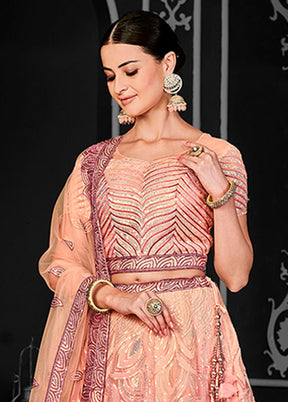 Peach Net Lehenga Set