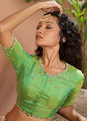 Parrot Green Silk Designer Blouse